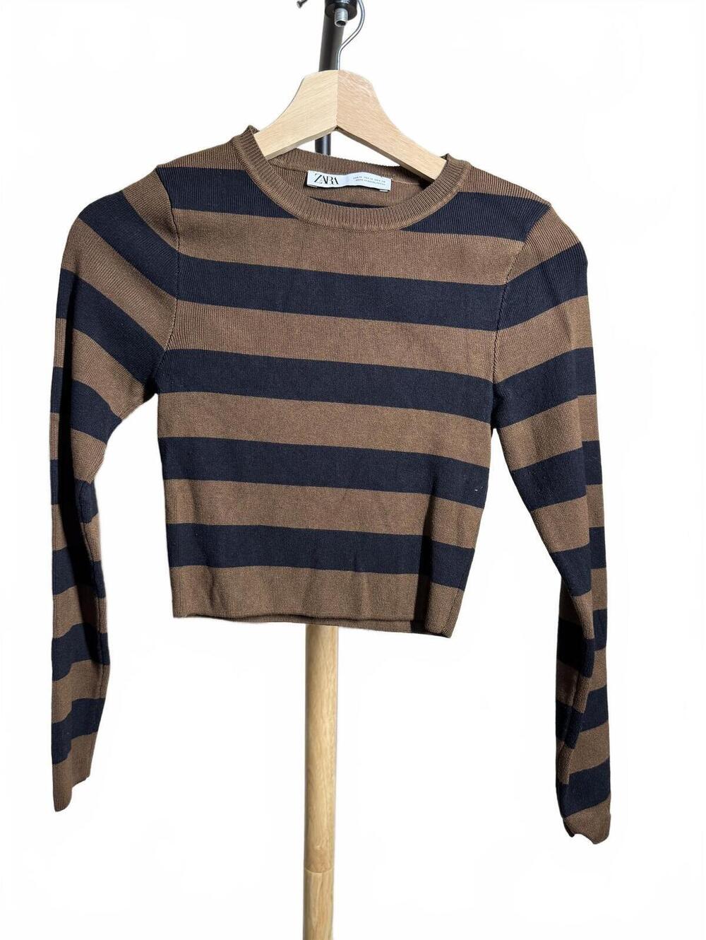 ZARA Brown and Black Striped Long Sleeve Crop Top